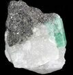 Beryl (Var: Emerald) Crystal in Quartz & Biotite - Bahia, Brazil #44111-2